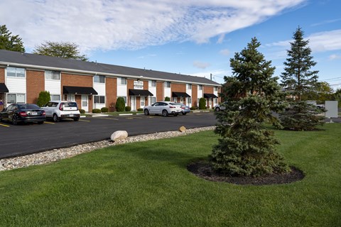 A tree is in a mulched area in front of a building.