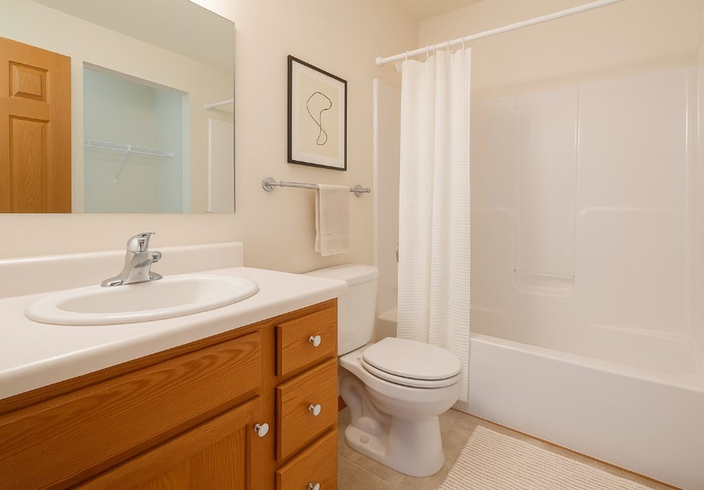 A white toilet sits next to a sink in a bathroom.