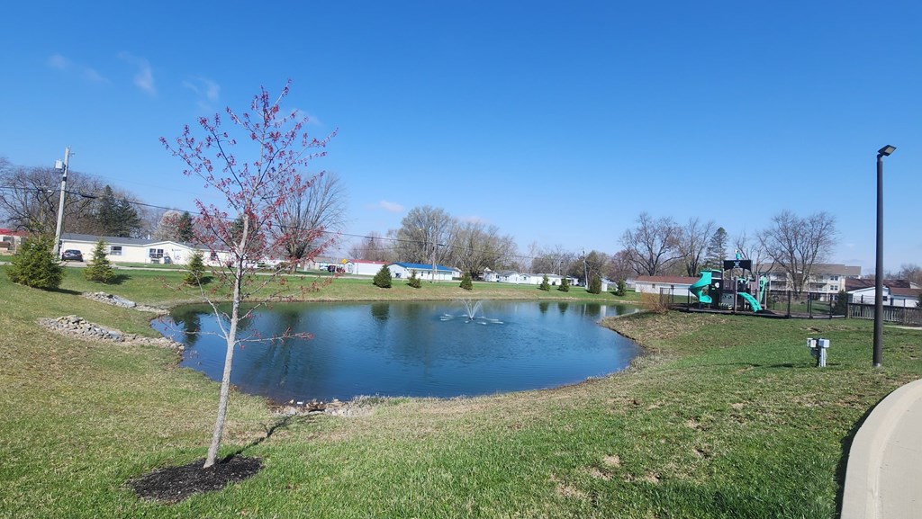 A tree with red leaves stands next to a body of water.