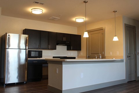 a kitchen with a stainless steel refrigerator and black cabinets