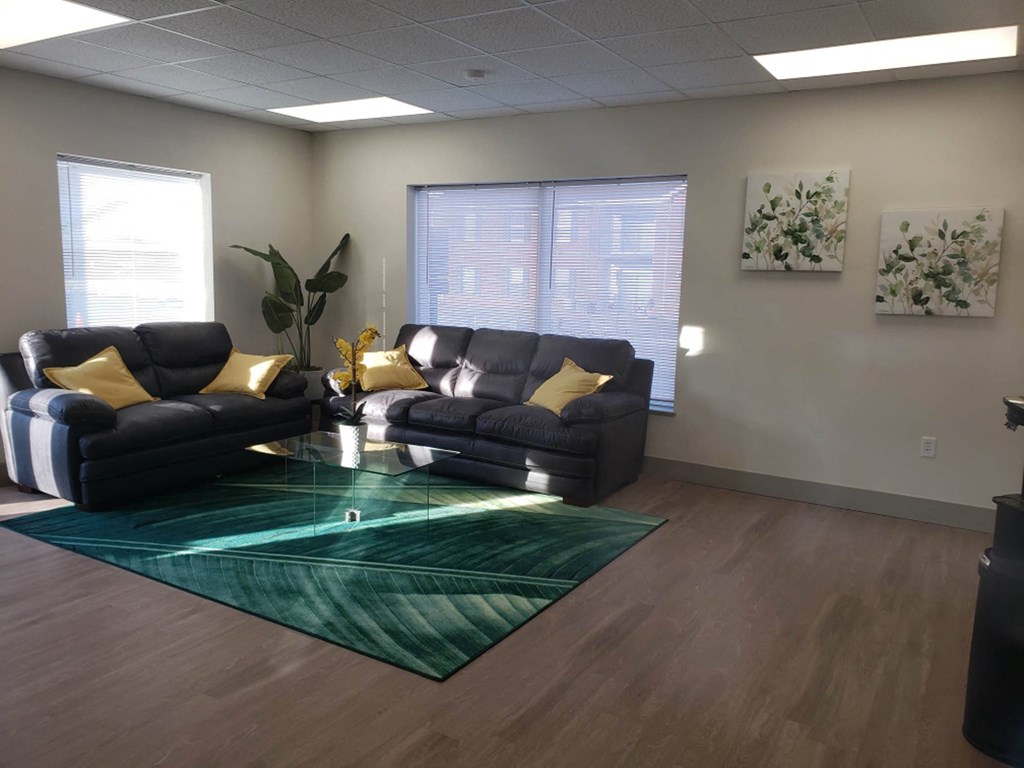 a living room with couches and a rug