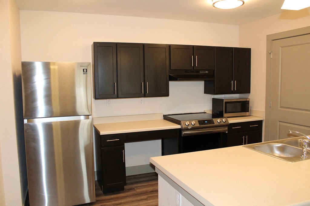 a kitchen with stainless steel appliances and black cabinets  at Haven Homes Apartments, LP, Plainfield, 46168