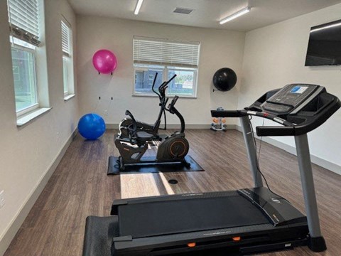 A gym with treadmills, elliptical machines, and exercise balls.