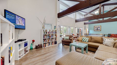 A living room with a television, bookshelves, and a couch.