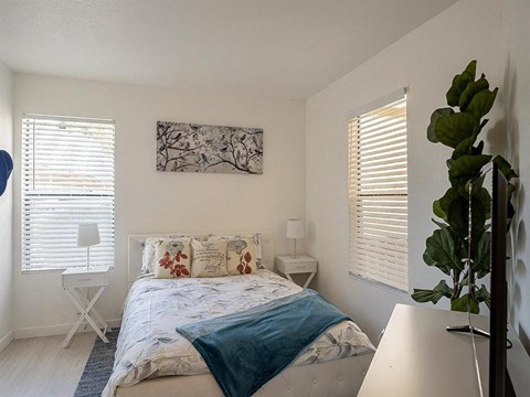 a white bedroom with a bed and a plant