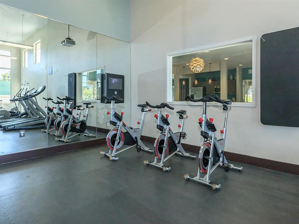 a row of spin bikes in a gym