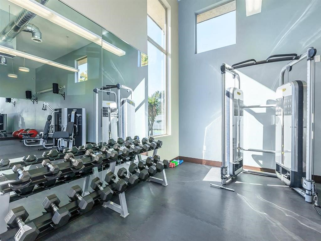 a gym with a row of dumbbells on the floor
