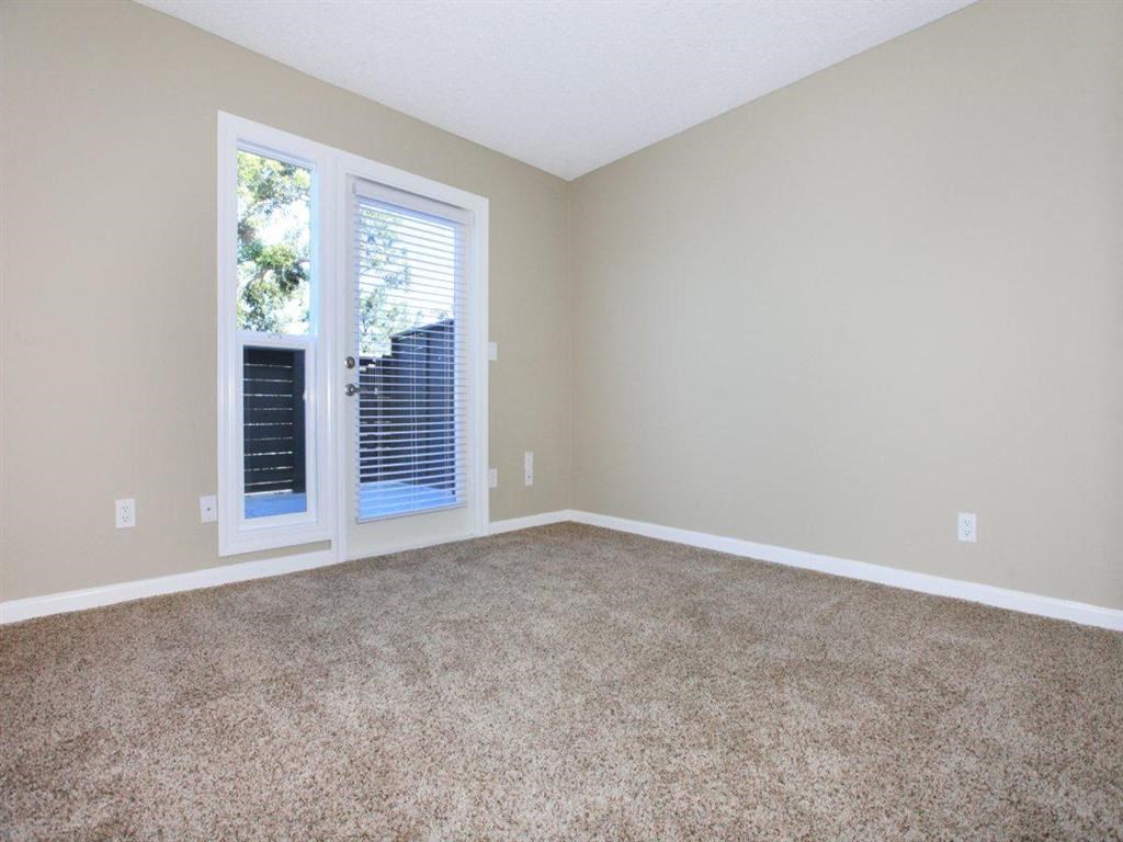 an empty living room with a window and a carpeted floor
