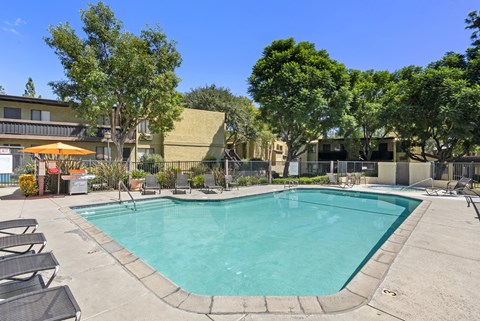 A large swimming pool surrounded by lounge chairs and trees.