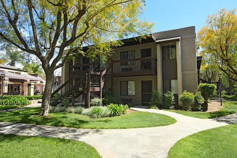 A tree with yellow leaves is in front of a building.