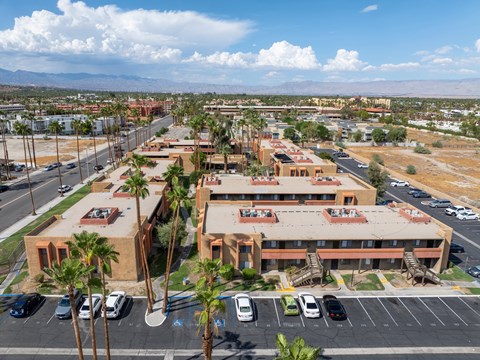 A parking lot with a building in the background and palm trees in the foreground.