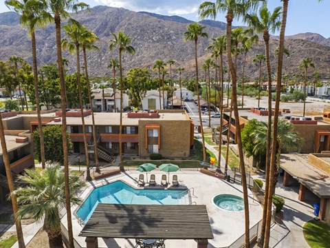 A pool surrounded by palm trees and a mountain in the background.