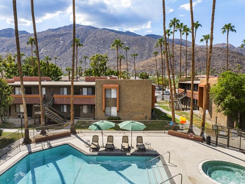 A pool surrounded by palm trees and a mountain in the background.