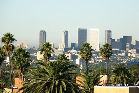 a view of the city with palm trees