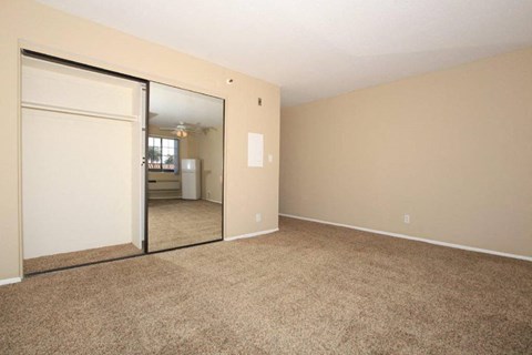 an empty living room with a mirror and a closet