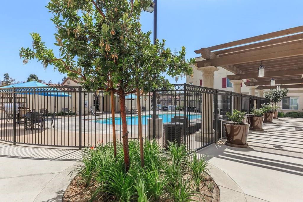 our apartments have a pool and a patio with plants