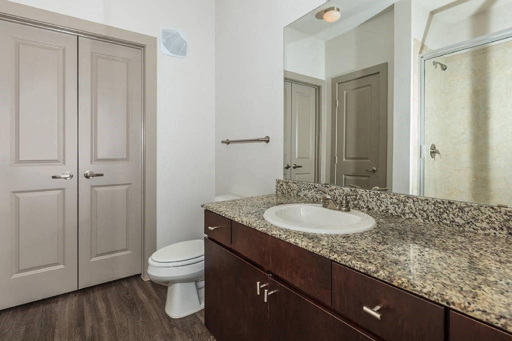 a bathroom with a sink and a toilet and a mirror