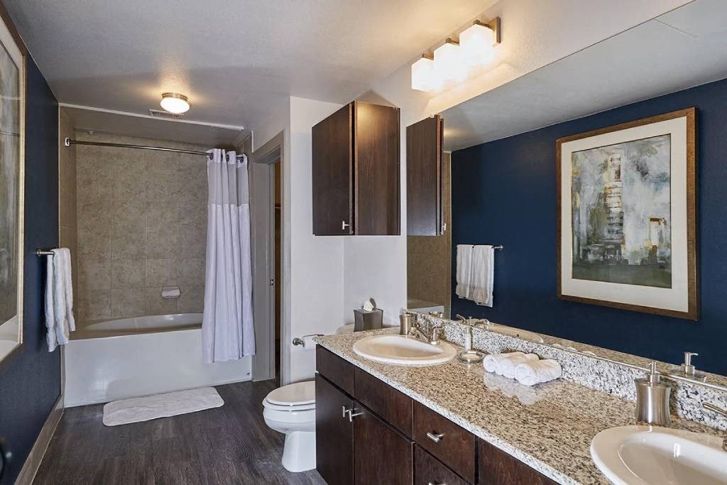 a bathroom with a sink and a toilet and a shower