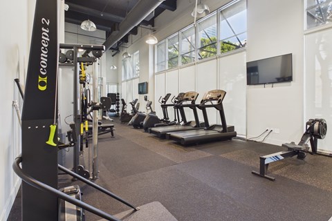 A gym with treadmills, weights, and exercise equipment.