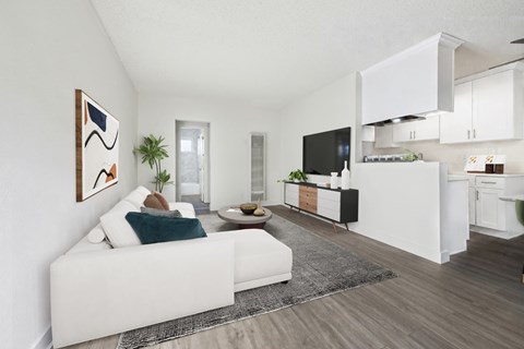 A modern living room with a white couch and a grey rug.