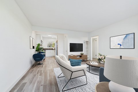 A living room with a white couch and a black and white rug.