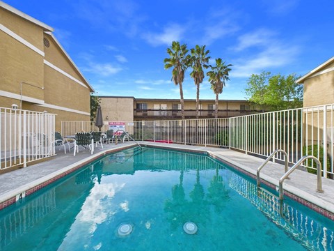 A pool surrounded by a metal fence and palm trees.