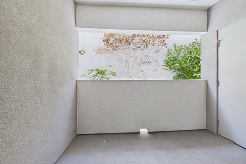 A room with a white wall and a window with a view of trees.
