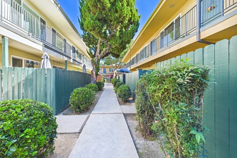A long, narrow walkway separates two rows of green fences and houses.