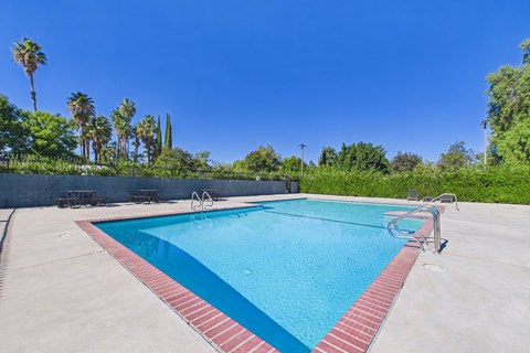A swimming pool surrounded by palm trees and a clear blue sky.