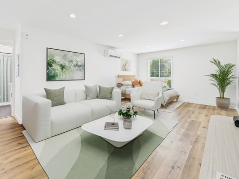 A living room with a white couch and a green rug.