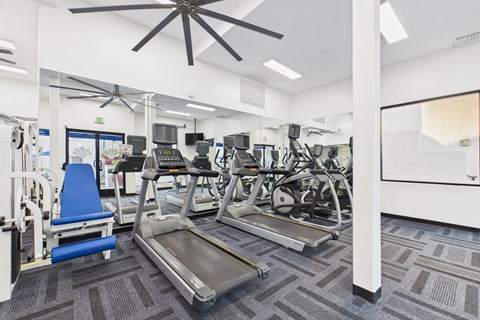 A gym with treadmills, exercise bikes, and other equipment.