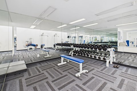 A gym with a bench, weights, and mirrors.