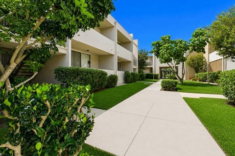 A tree with green leaves is in front of a white building.