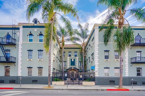 A row of palm trees in front of a building.