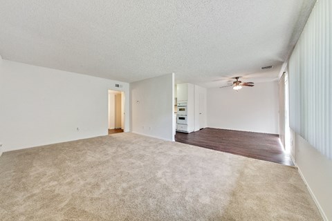 Living room ; Dining area
