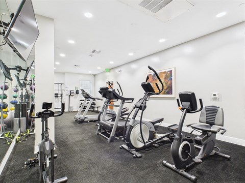 A gym with a row of stationary bikes.