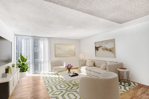 A living room with a white couch and a green and white rug.