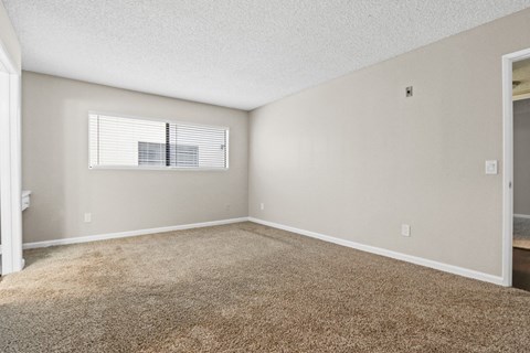 an empty living room with carpet and a window