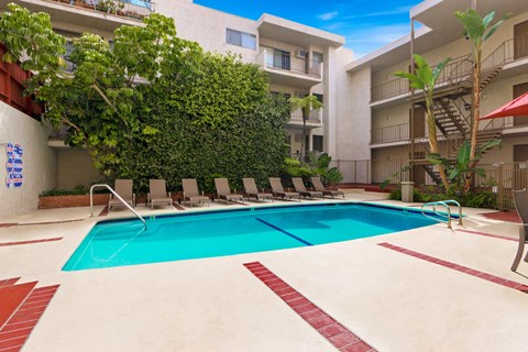 A swimming pool surrounded by a green wall and lounge chairs.