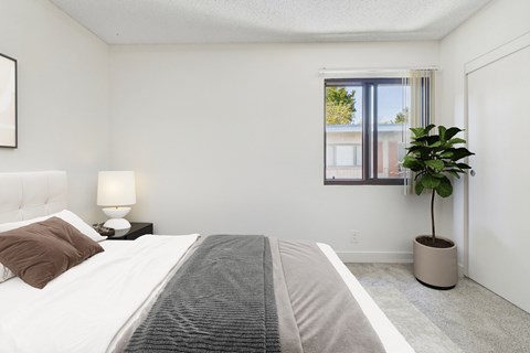 A bedroom with a large bed and a potted plant.