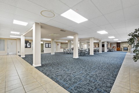 A spacious room with a carpeted floor and white columns.
