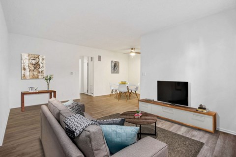 A living room with a grey couch and a television.