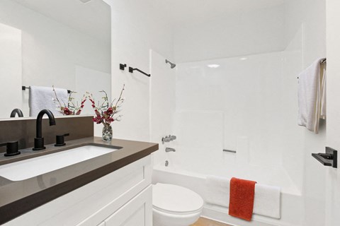 A white toilet sits next to a sink in a bathroom.