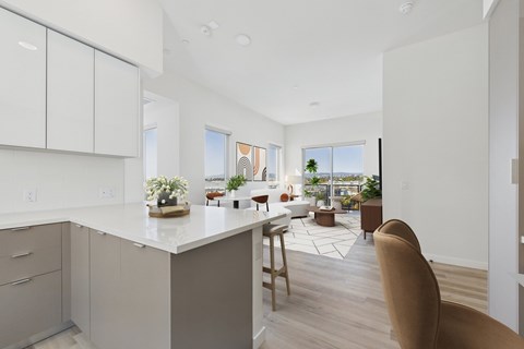 A kitchen with white cabinets and a large island with a plant on it.