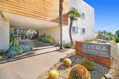 the entrance to cimarron apartment homes with cactus and other plants