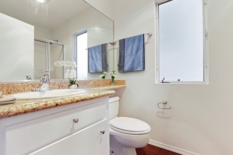 A bathroom with a toilet, sink, and mirror.