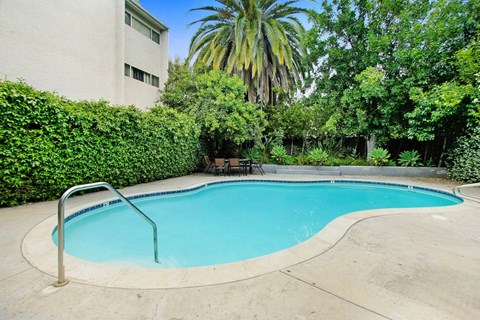 a swimming pool with a building and palm tree in the background