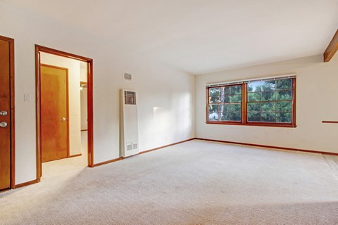 A room with a carpeted floor, a window with a view of trees, and a door.