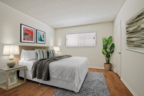 A bedroom with a bed, pillows, a lamp, a potted plant, and pictures on the wall.