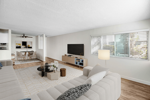 A living room with a white couch and a television.